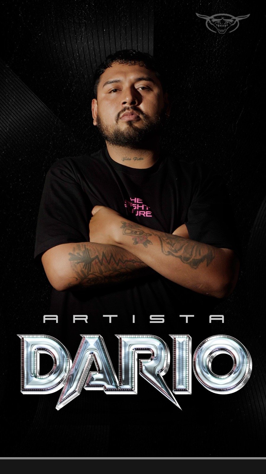 Especialista en lettering